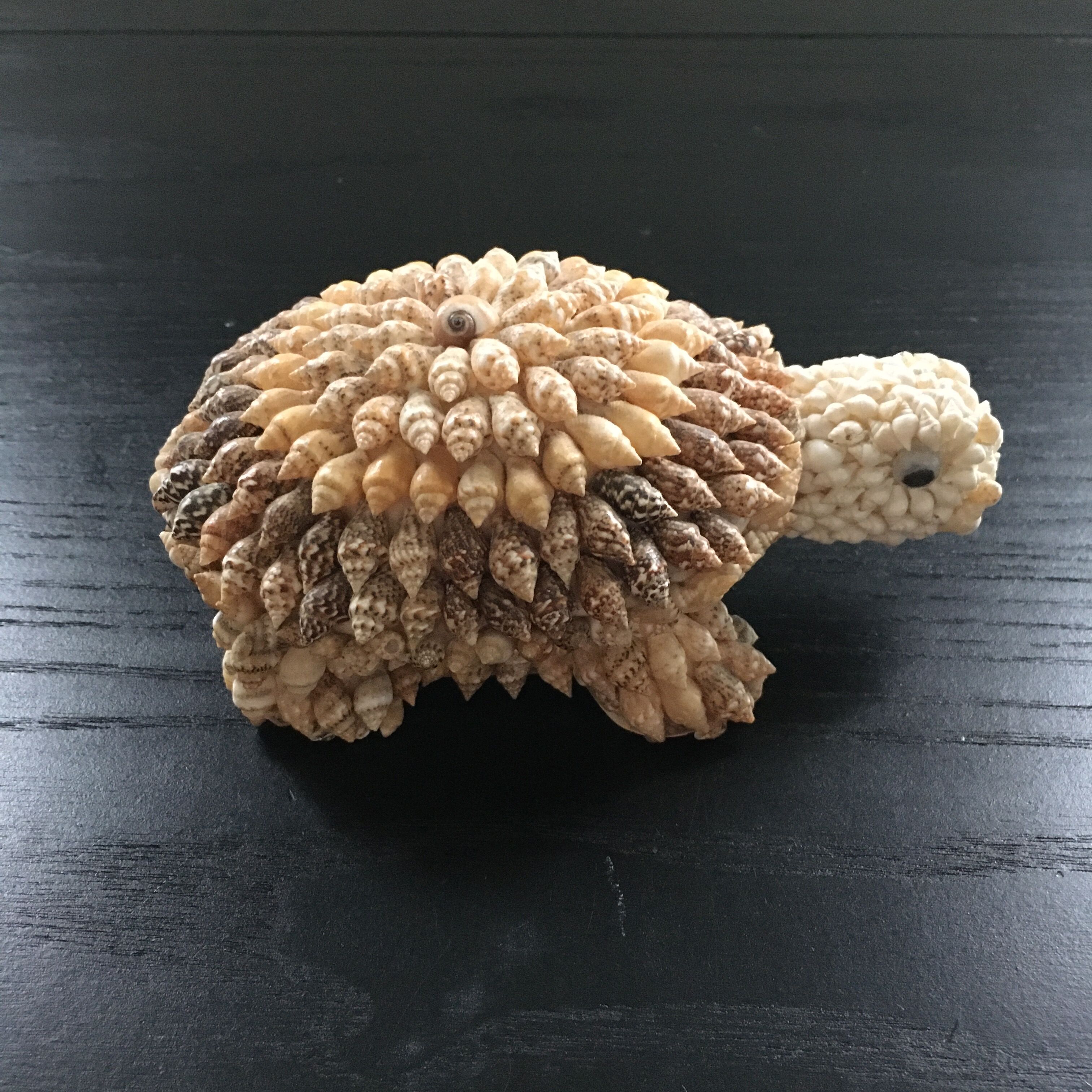 Shell turtle paperweight