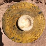Tamegroute dish