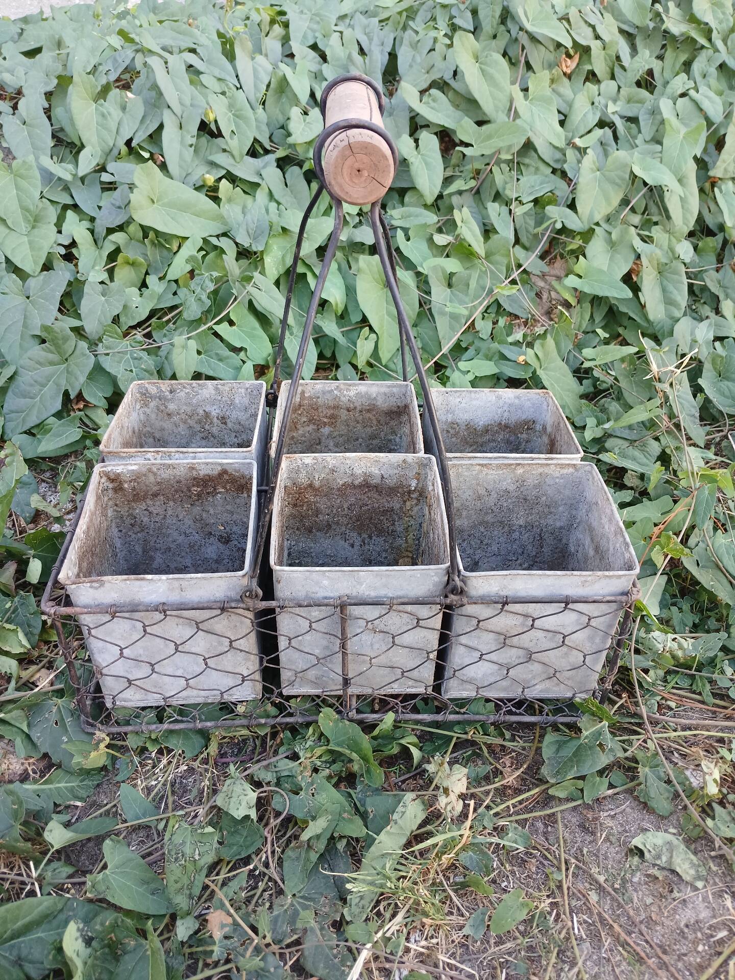 Wire mesh basket