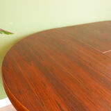 Table Baumann extensible