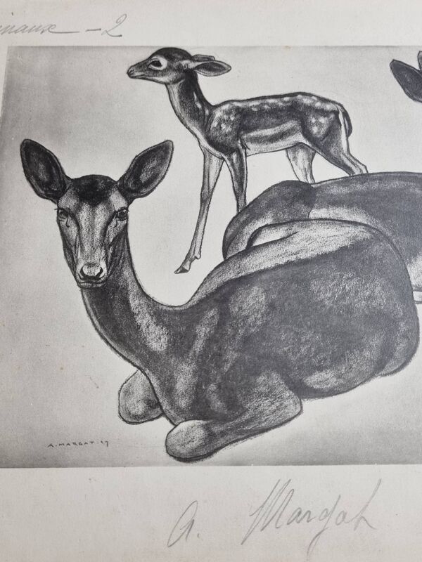 Planche illustrée, Études de Daims noirs, Signée André Margat, 1930-1950