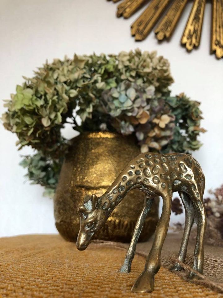 Pair of two giraffes