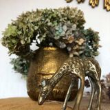 Pair of two giraffes