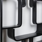 Room divider book shelf by ludvik volak, 60's