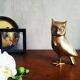 Brass owl