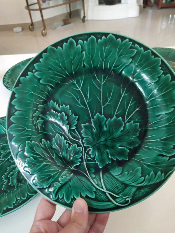 5 creil plates in slurry