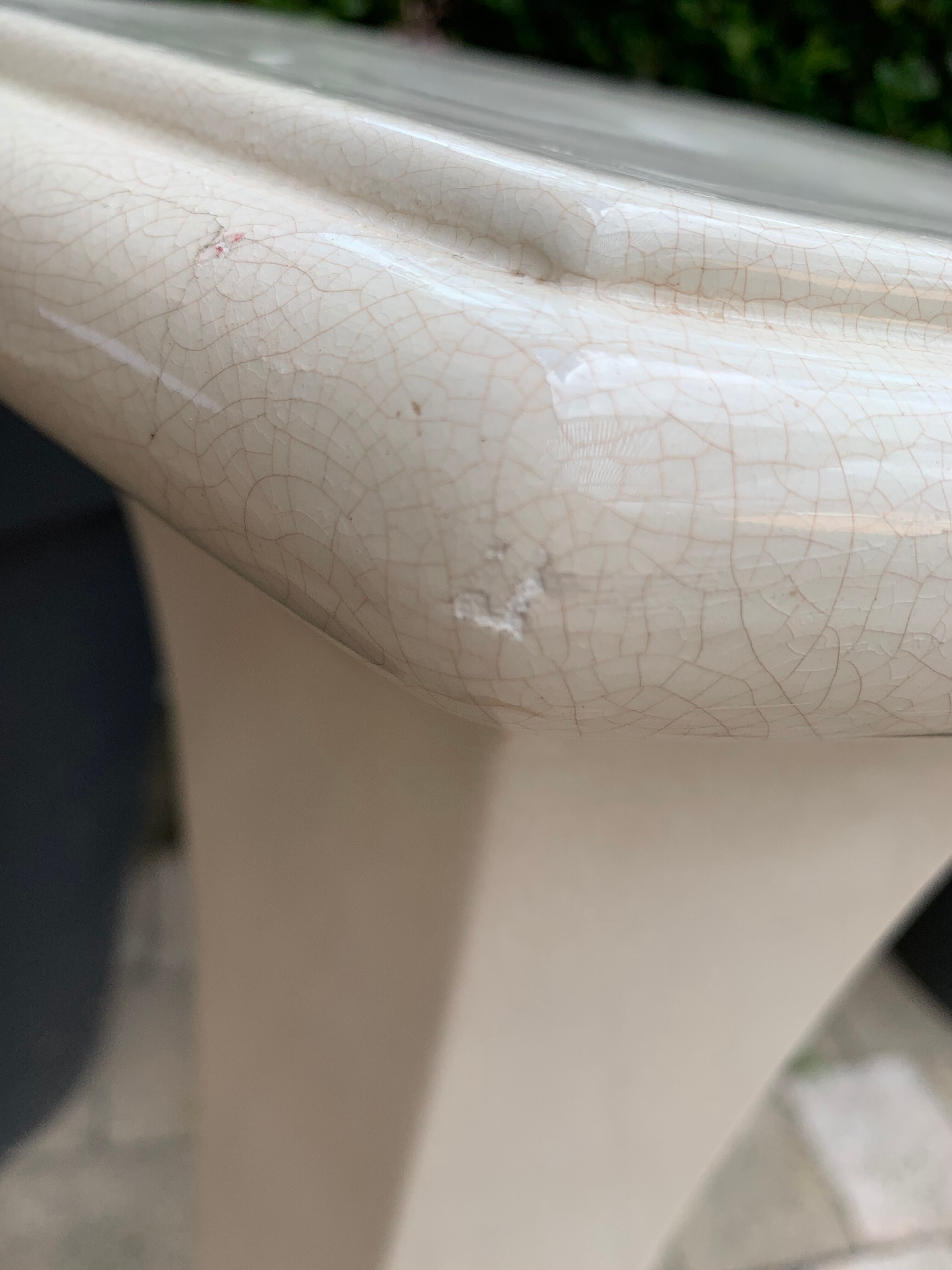 Column wears vintage plant