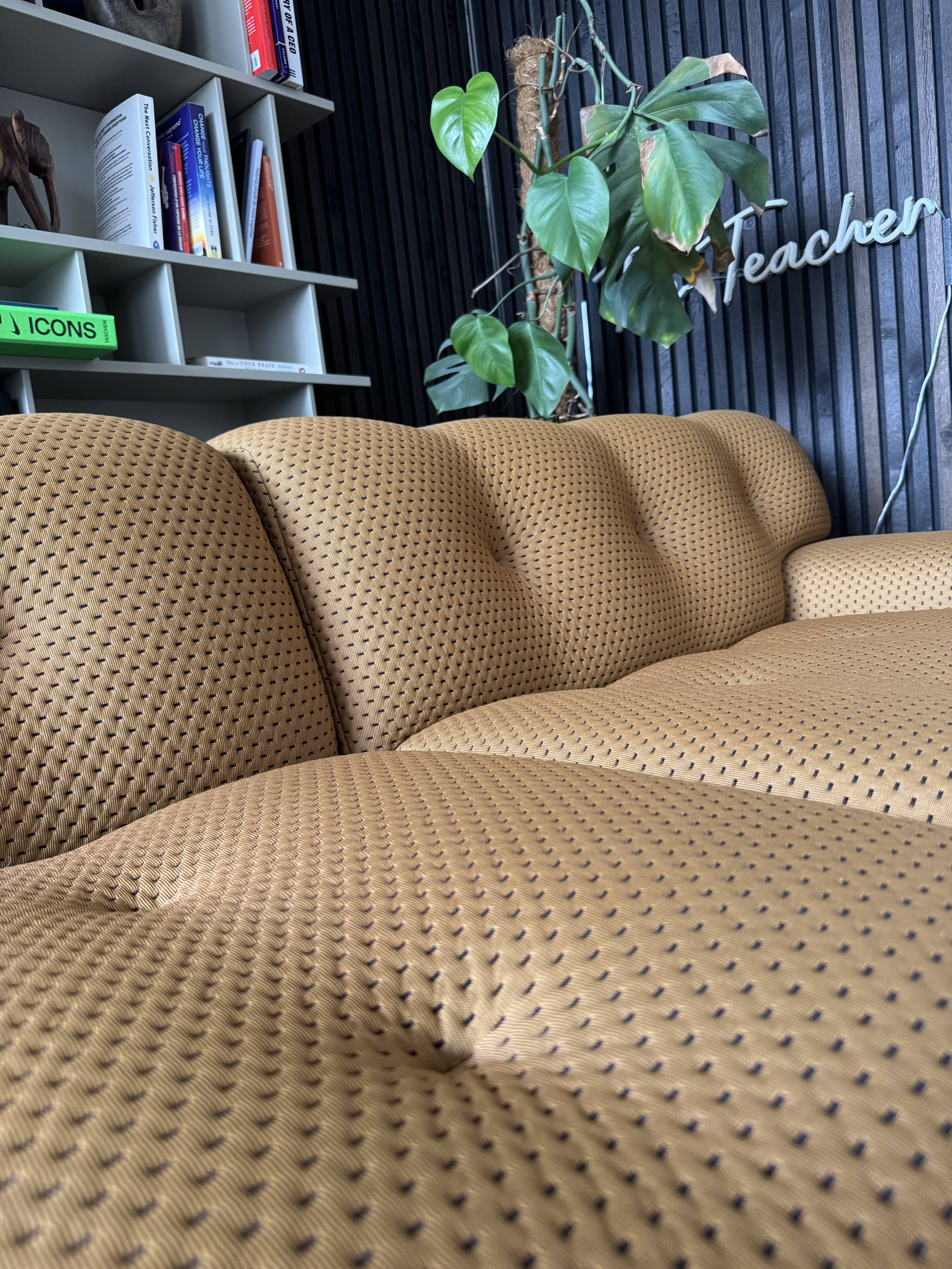 Roche bobois blogger