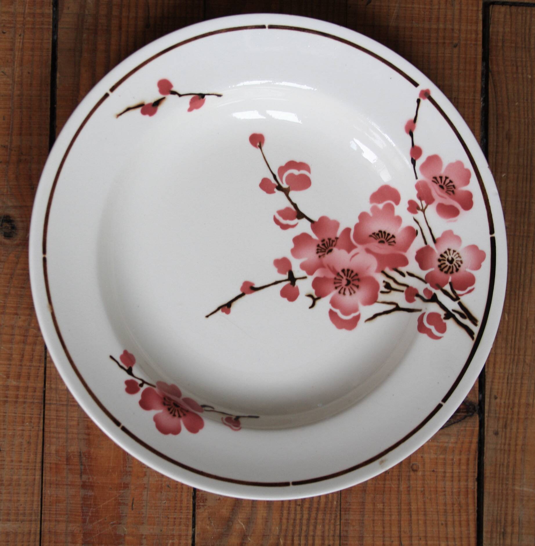 Set of 6 Terre de Fer St Amand "cherry" deep plates