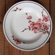 Set of 6 Terre de Fer St Amand "cherry" deep plates