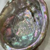 Empty shell pocket