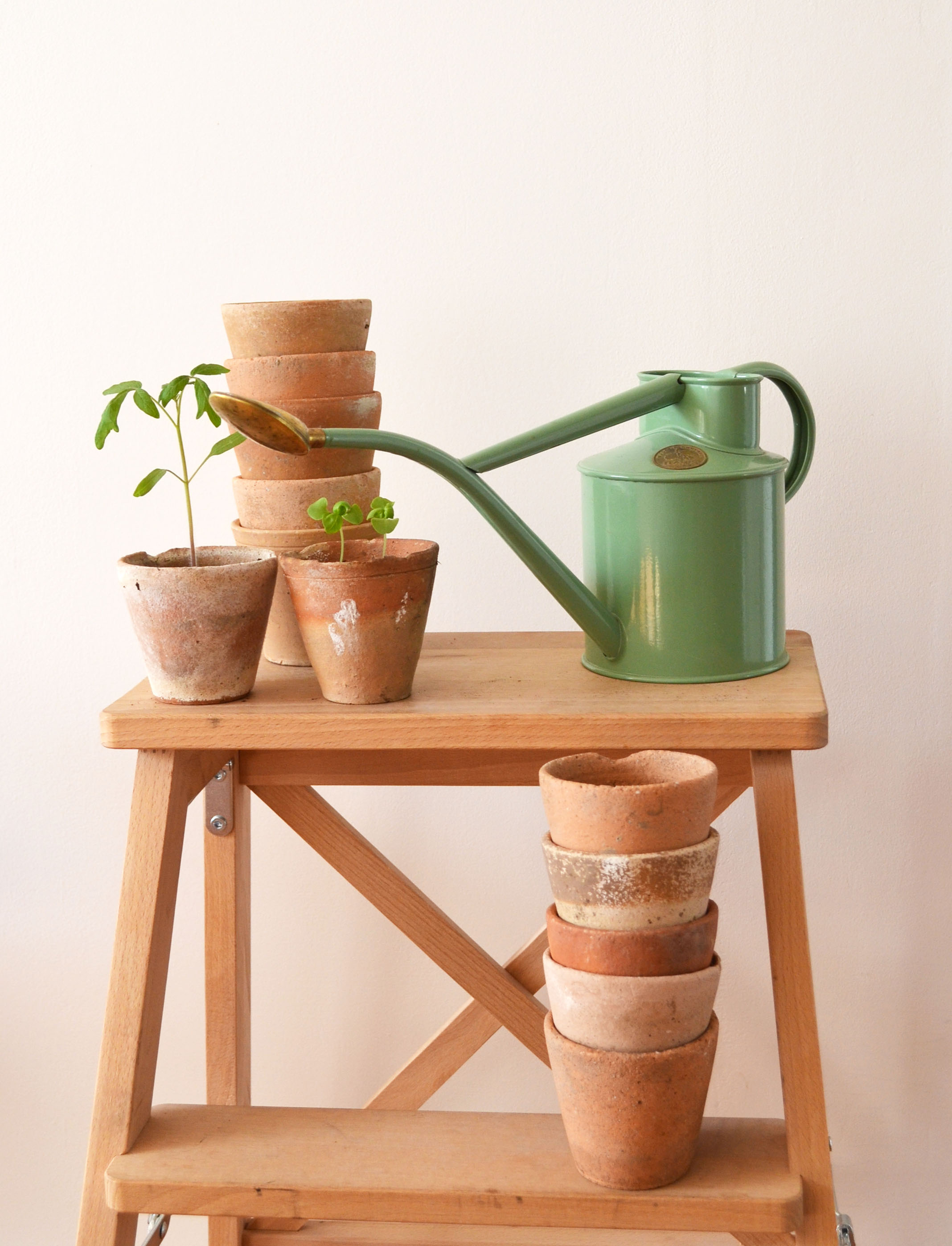10 old terracotta seedling pots