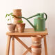 10 old terracotta seedling pots