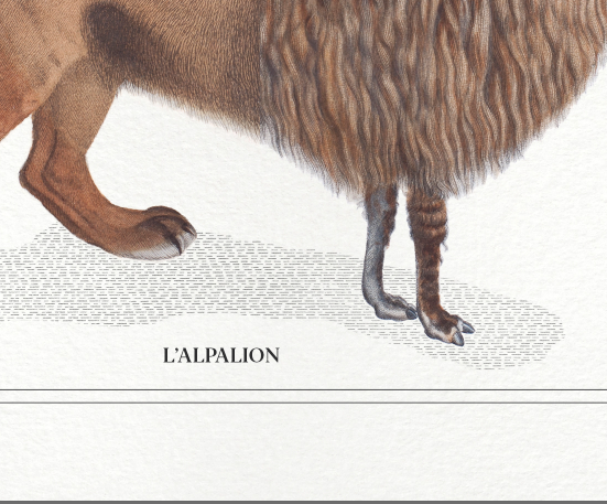 Set of 3 chimera lithography animal engraving