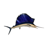 Sailing swordfish