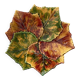 Vallauris Cup SAP Vallauris