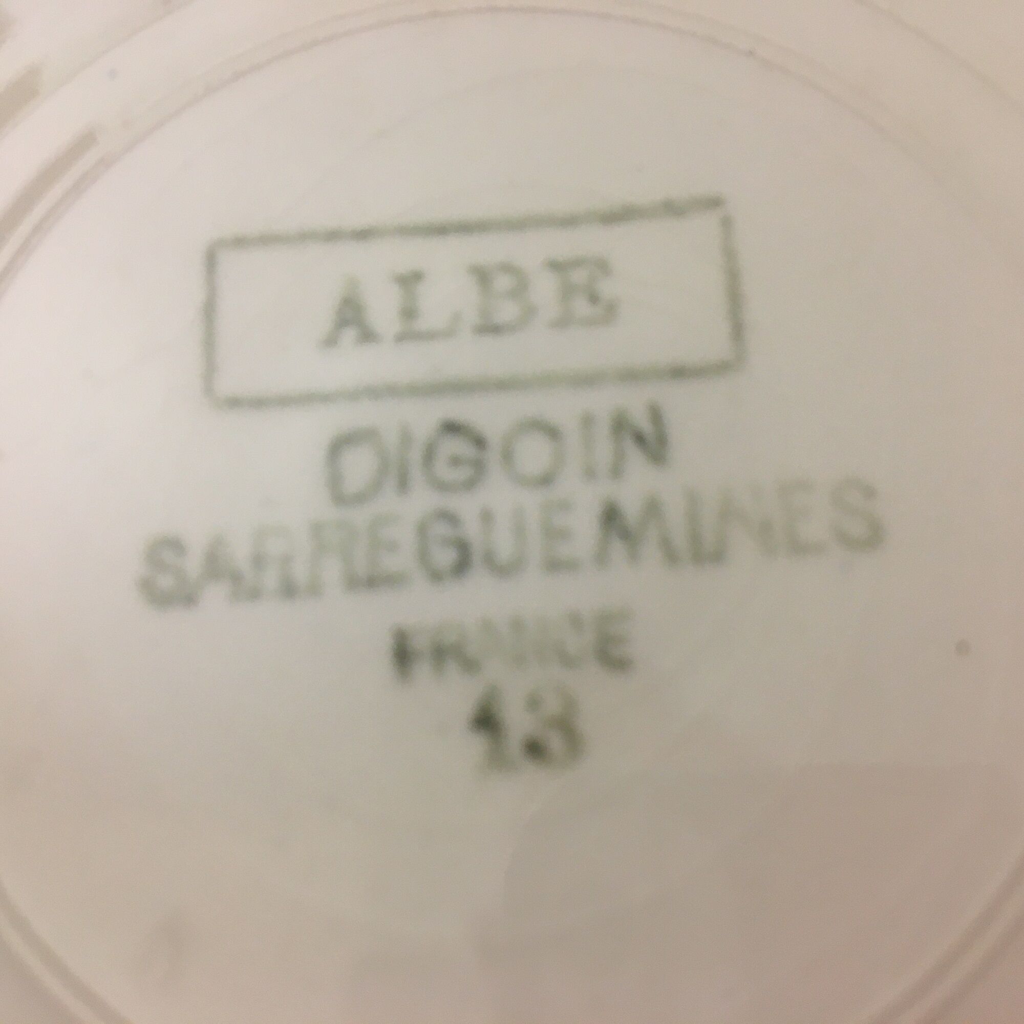 Set of 6 plates flat "digoin sarreguemines" model albe