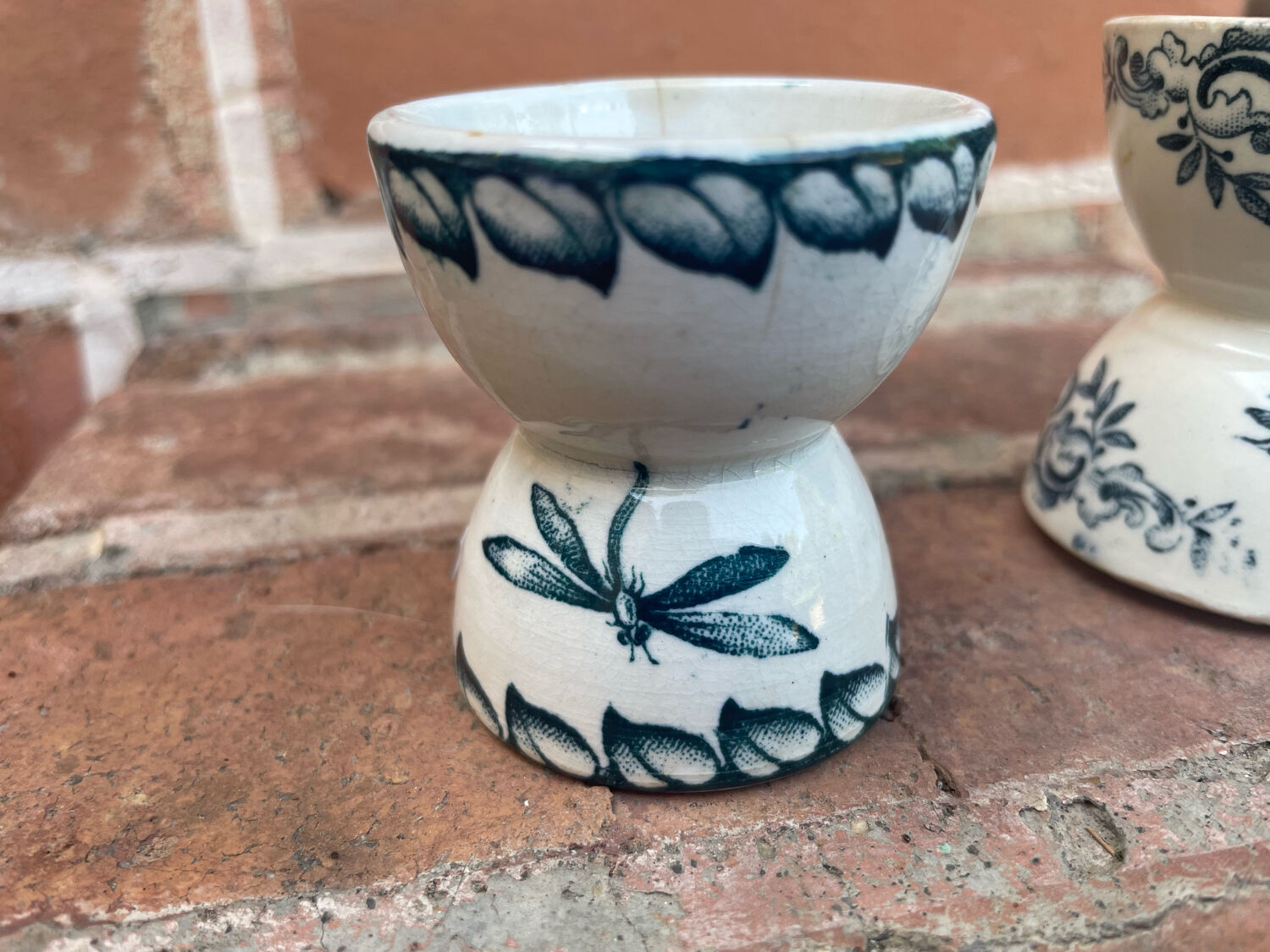 Cockroaches diabolo Terre de Fer