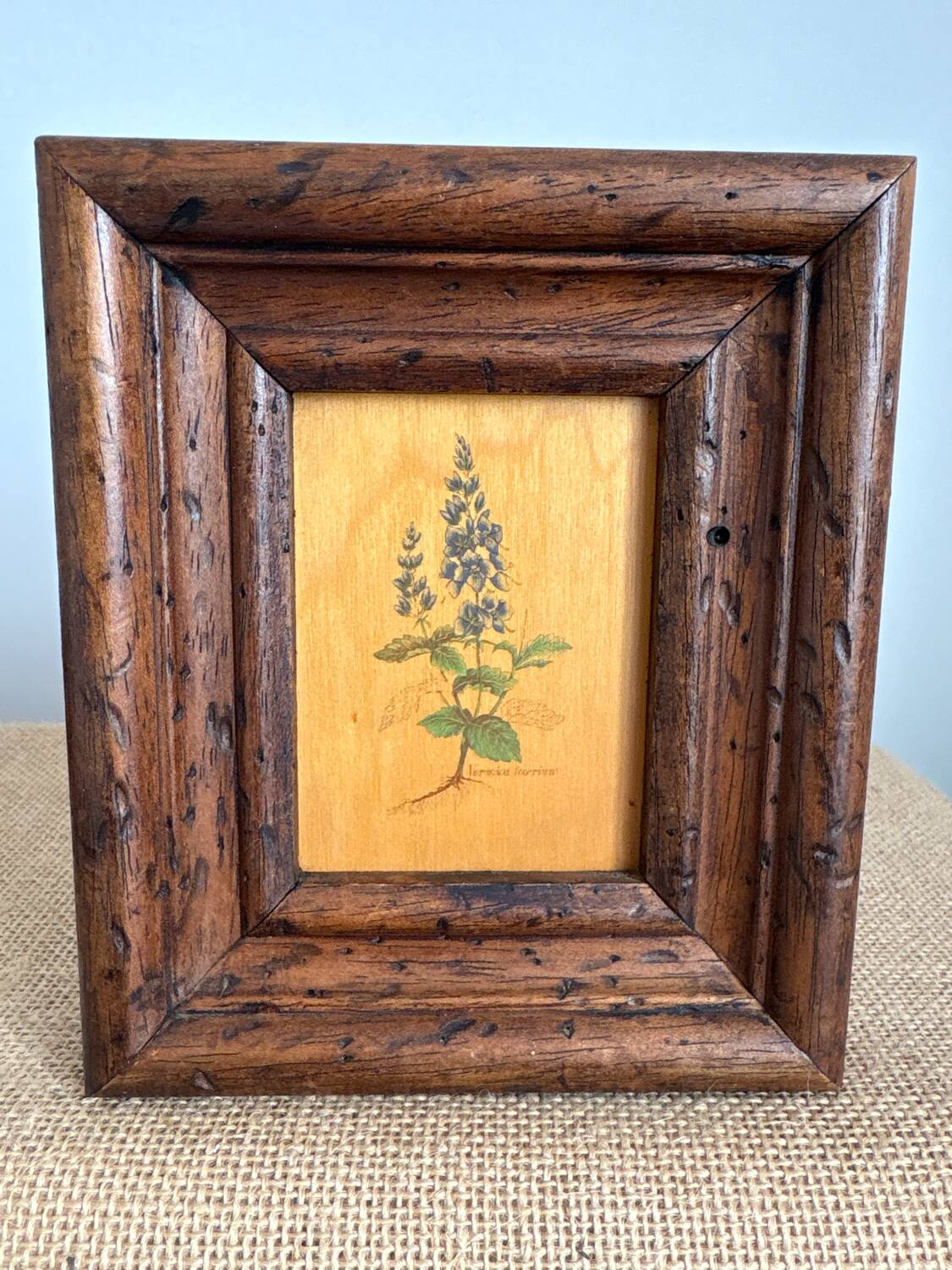 Set of 2 botanical decorative wooden frames, 13cm x 15.5cm