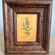 Set of 2 botanical decorative wooden frames, 13cm x 15.5cm