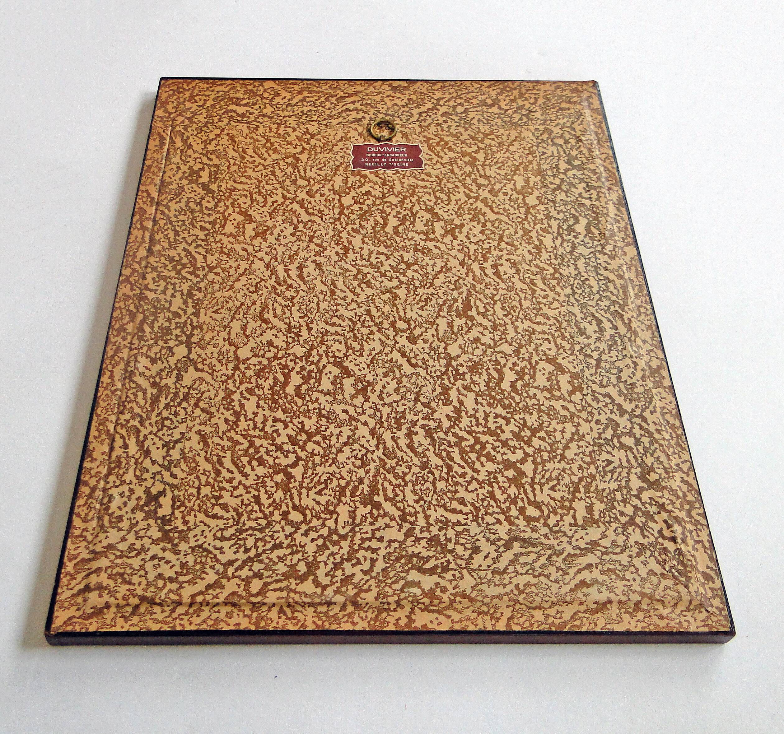 Lot de 2 gravures animalières xixème illustration travies encadrement d’art cabinet de curiosité