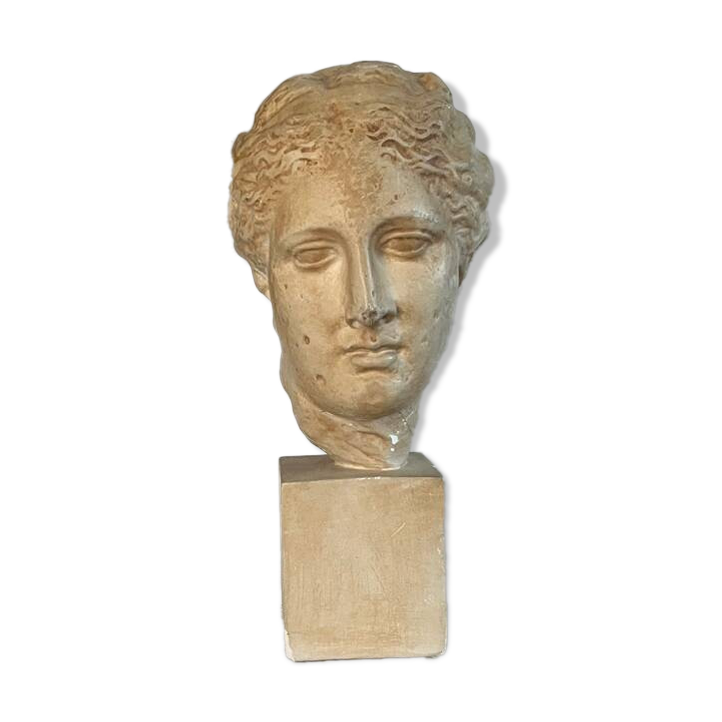 Plaster bust