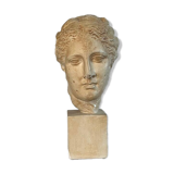 Plaster bust