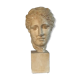 Plaster bust
