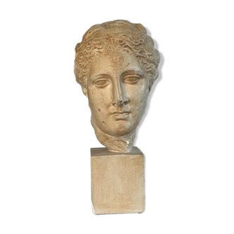 Plaster bust