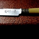 Box of 6 knives with steel blades and horn handles - "Mure"