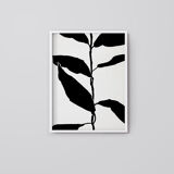 Botanical illustration print, A3
