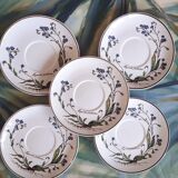 Lot de 5 sous tasses "Myosotis" du service Botanica de Boch