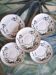 Lot de 5 sous tasses "Myosotis" du service Botanica de Boch