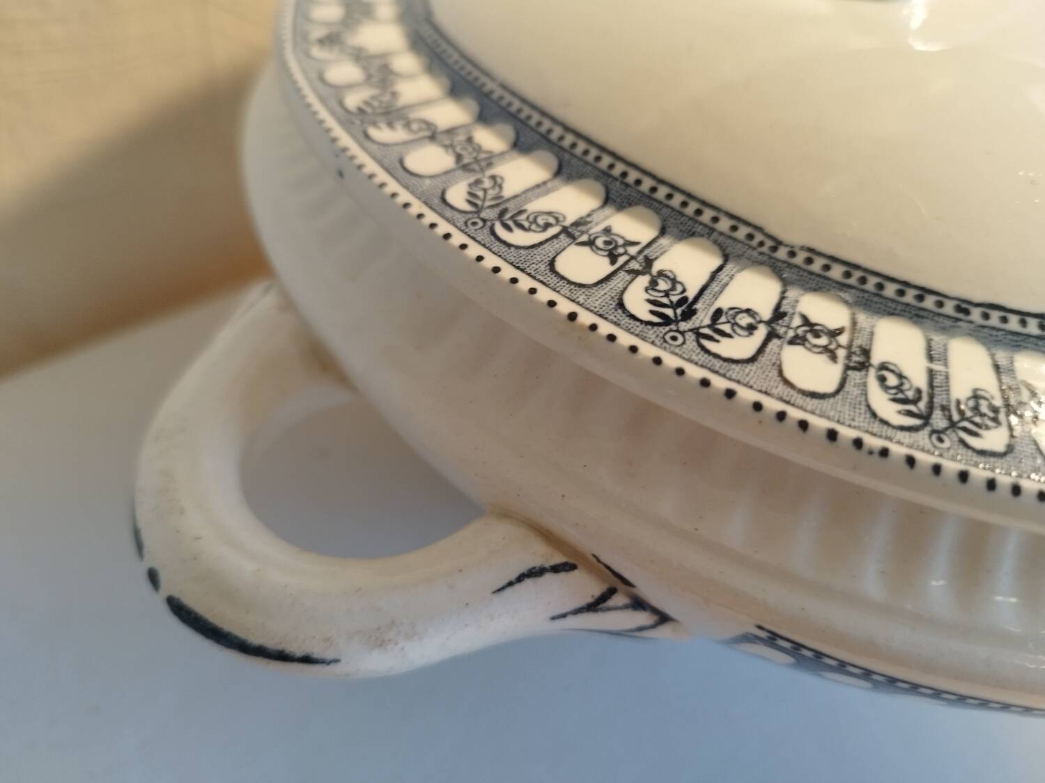 Soup tureen Salins Terre de Fer