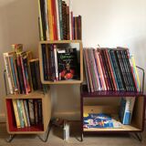 Nonah Salamander Children's Library