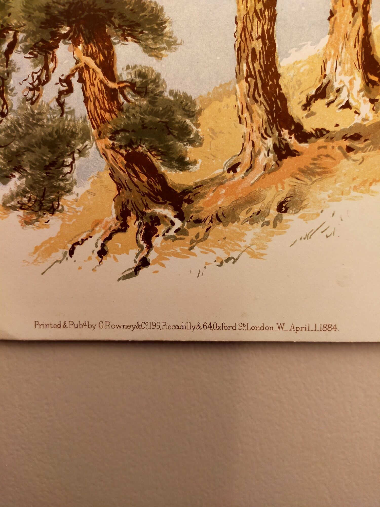 Old lithograph plate 18