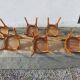 6 chaises bistrot Luterma, vintage