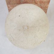 Table basse en pierre fossile de Magnussen Ponte, années 1980