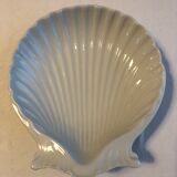 Empty pocket scallop shell