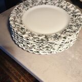 6 assiettes plates 24cm  H&C