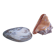 deux coquillages nacrés taille XL