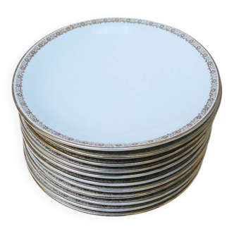 12 Antique Soup Plates - Rheinpfalz Hartporzellan Germany