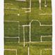 Tapis Vert Contemporain - 310 x 250 cm