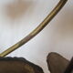 Golden metal brass flower lamp
