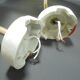 Pair of opaline wall lamps