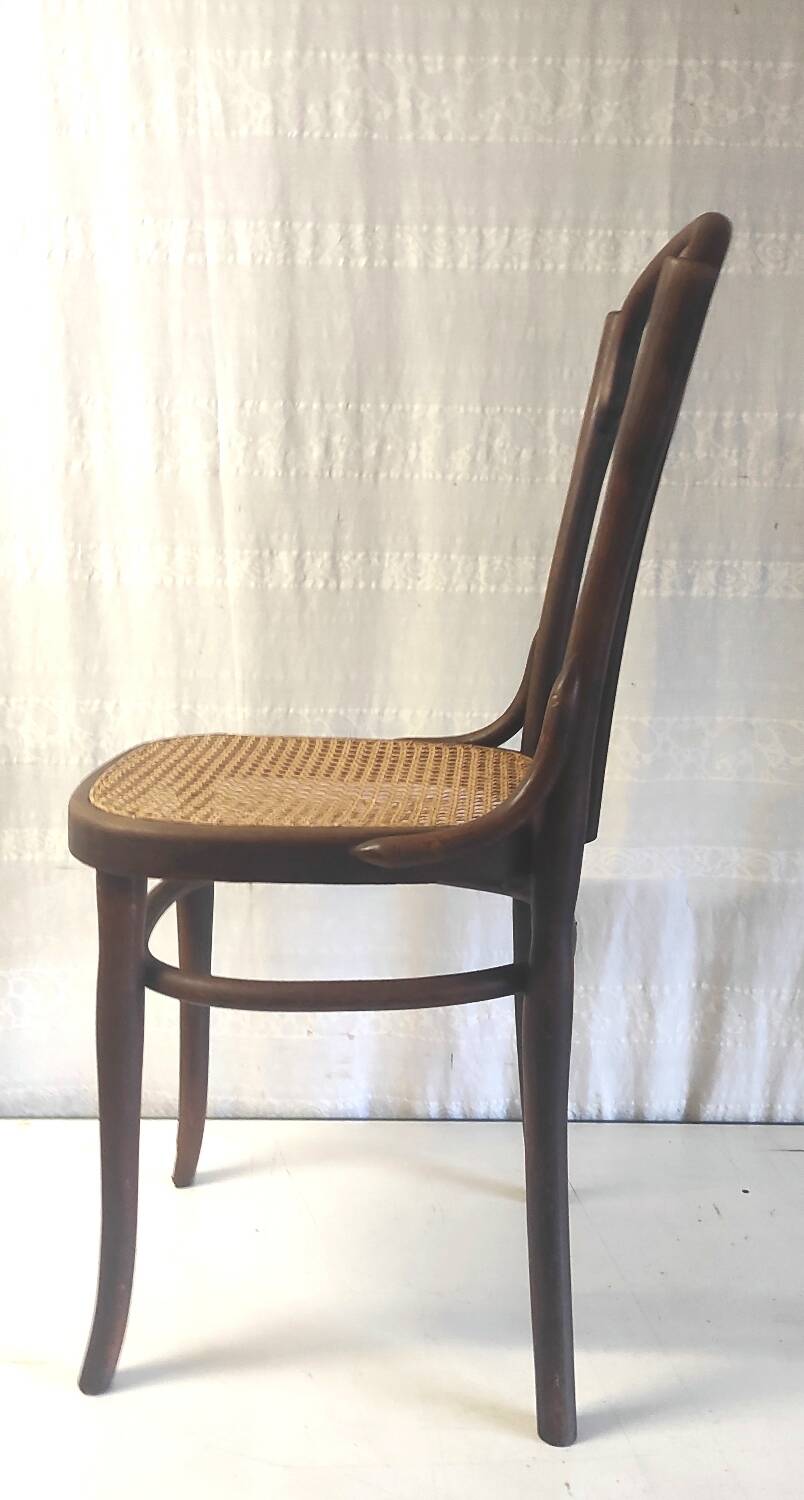 Bistro chair in curved wood and canework - early 20th century
