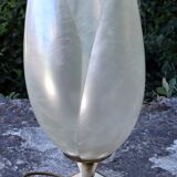 Lamp to lay House Rougier model tulip