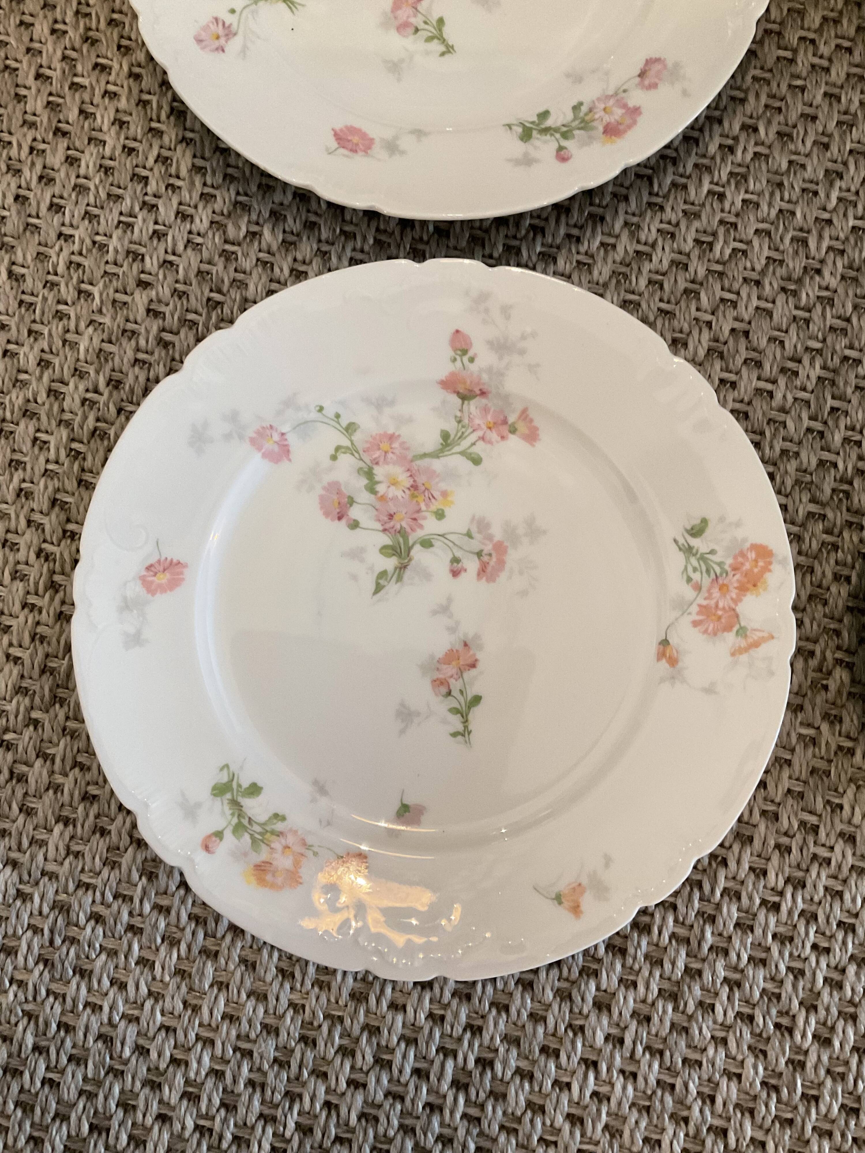 6 Flat plates diameter 22 cm .porcelain