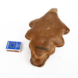 Crocodile, Midiphibies Germany 1980