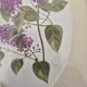 Set of 2 gilded frames under glass – V. Mappin purple flowers – 21.5 x 16.5 cm